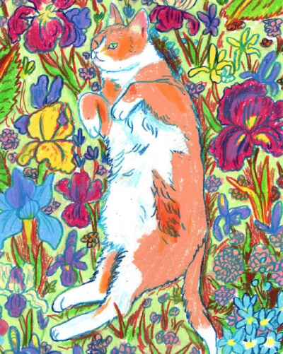 Hannah Lock猫咪插画 ​​​