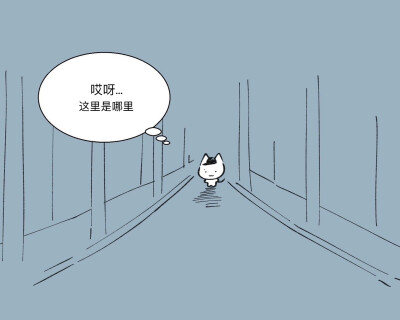 笨笨的