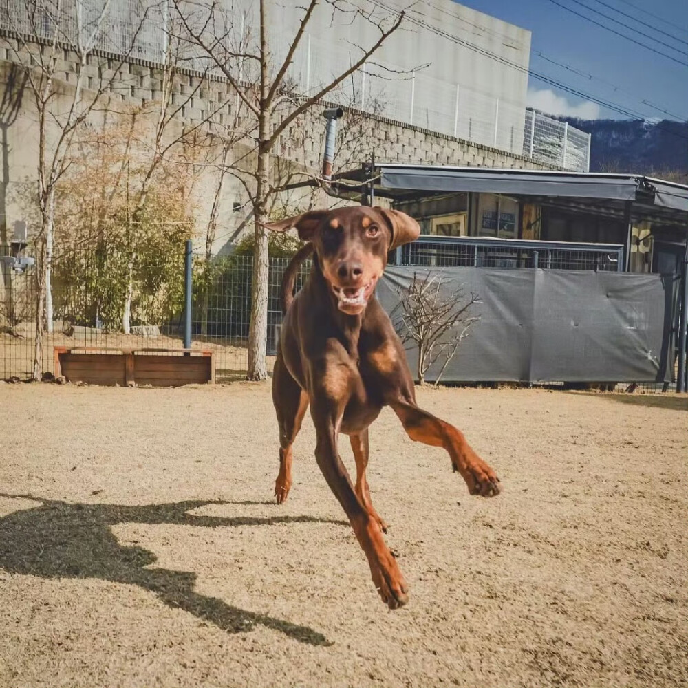 240414
Bam's dad 田柾国ins更新bam相关