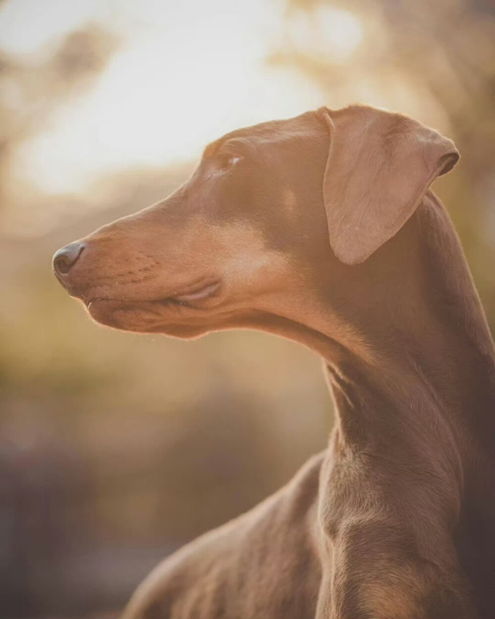 240414
Bam's dad 田柾国ins更新bam相关