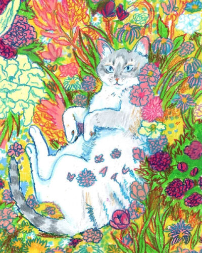 Hannah Lock猫咪插画 ​​​