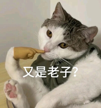 表情包