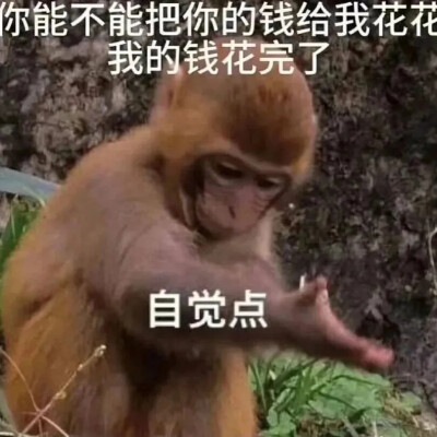 吗喽表情包