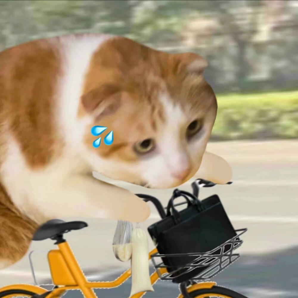 打工人专用猫猫狗狗头像