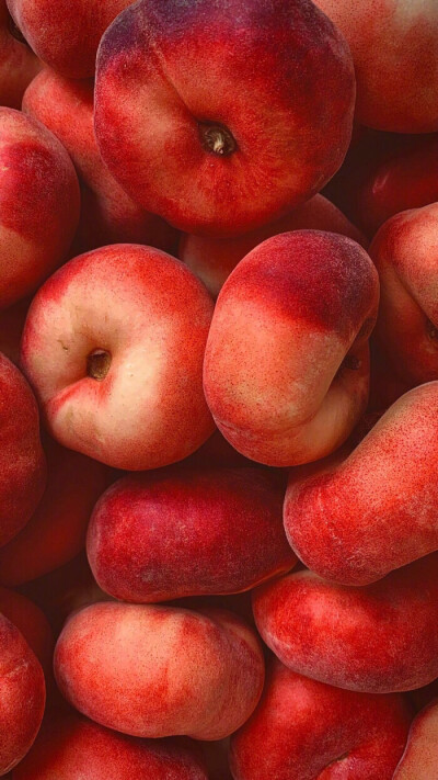 时光漫过季节，带走冬寒，光阴来到春天，迎来暖阳。