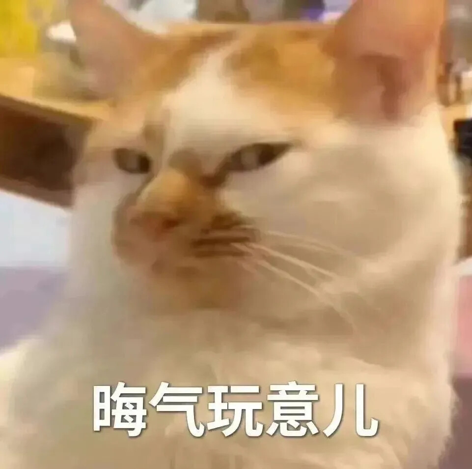 猫猫表情包