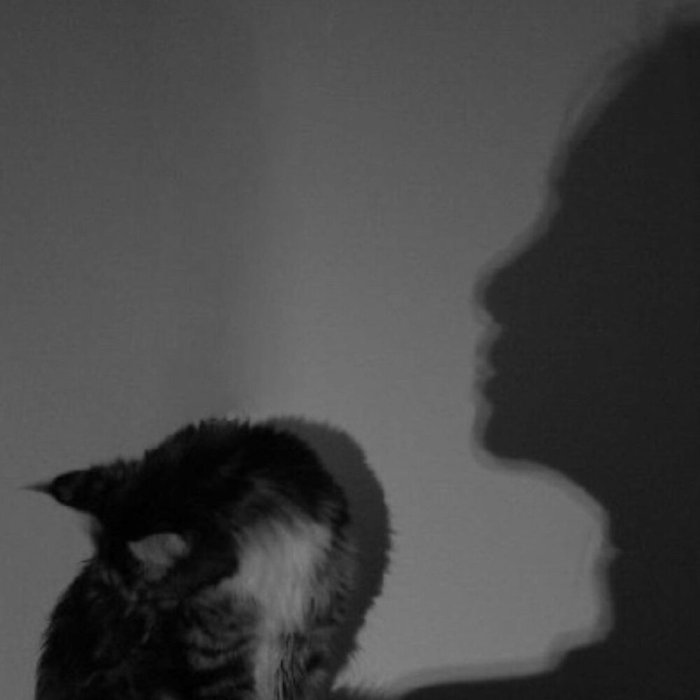 网易云背景+头像组合