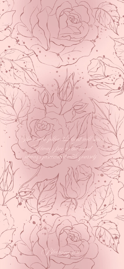 手机壁纸 粉色玫瑰系列套图 一颗酸苹果的壁纸库