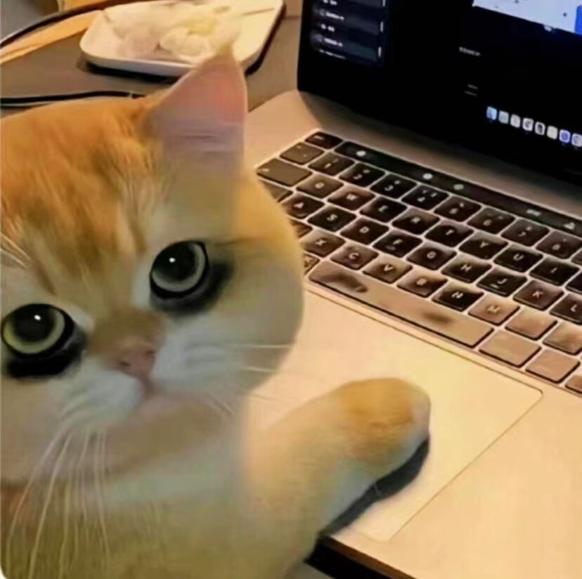 打工人专用猫猫狗狗头像