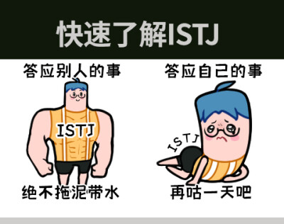 关于ISTJ的meme图，关于ISTJ的meme，还有吗