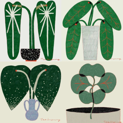 Taehyoung Jeon | 这组插画的平面感很强，在绘画的基础上增加了设计感，所有的植物叶子都做了圆角化的处理，让植物仿佛有了萌态，很多植物的叶子都进行了对称设计，形成了对称的美感，叶子的茎被作者进行了纹样化线…