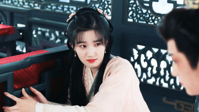 《惜花芷》芍药