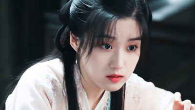 《惜花芷》芍药