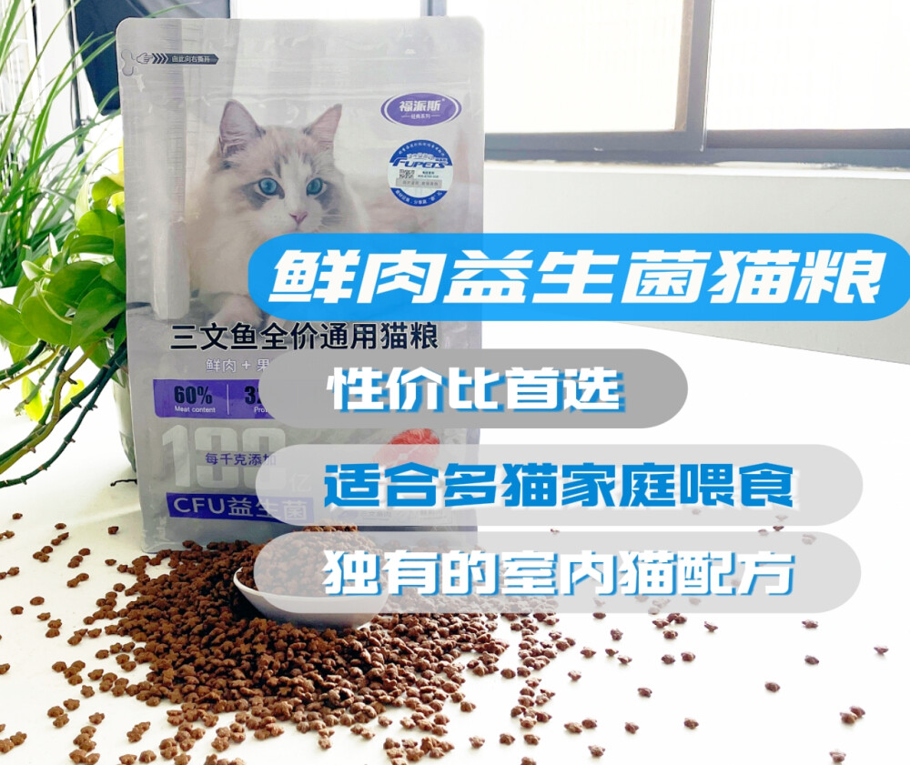 猫咪便秘让猫奴头疼，今天推荐福派斯三文鱼益生菌猫粮给便秘猫咪。
1️⃣ 主要成分是高质量的三文鱼，富含Omega-3脂肪酸，有助于改善猫咪的皮肤和毛发健康，同时提供充足能量。
2️⃣ 特别添加益生菌，有助于调节猫咪肠道菌群平衡，促进消化道健康，减少便秘发生。
3️⃣ 注重营养均衡，满足猫咪日常所需的各种营养。
总之，福派斯三文鱼益生菌猫粮从食材选择到营养搭配，都体现对猫咪健康的关爱。相信猫咪在你的呵护下，会恢复健康的！