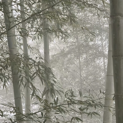 背景｜文案
写一本名为别来无恙的诗集寄给青春