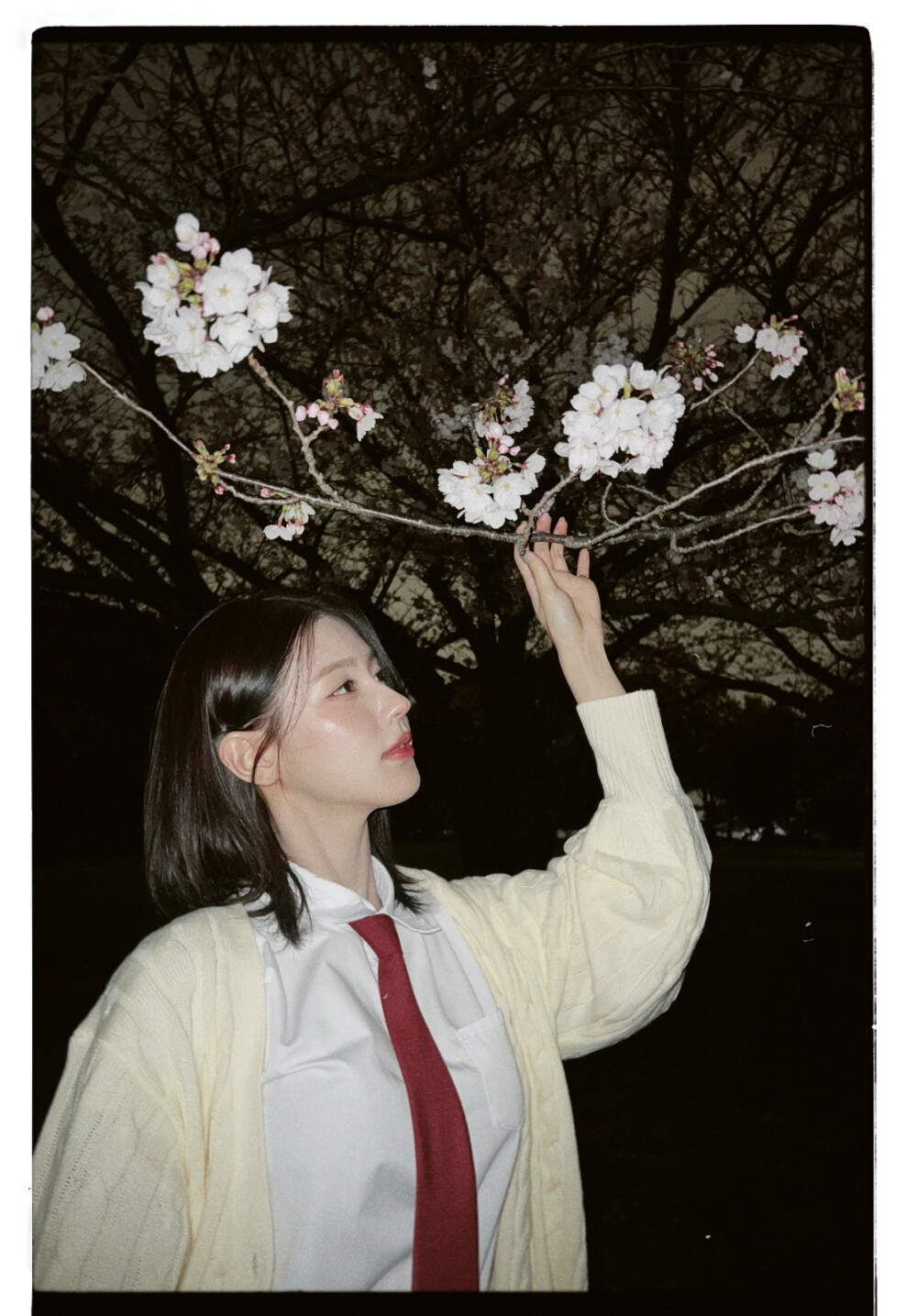 24.4.7 miyeon bubble更新