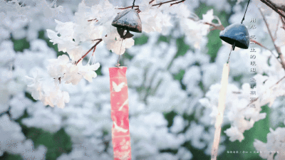 李沁 | 沈骊歌
cr:一竹信笺