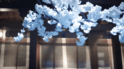 李沁 | 沈骊歌
cr:一竹信笺