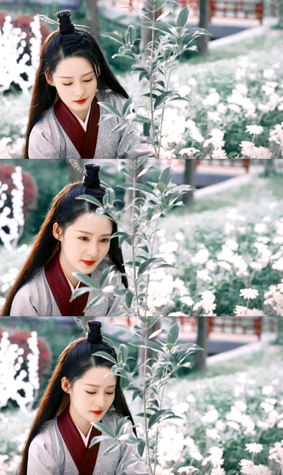 李沁 | 沈骊歌
cr:酒窝暖