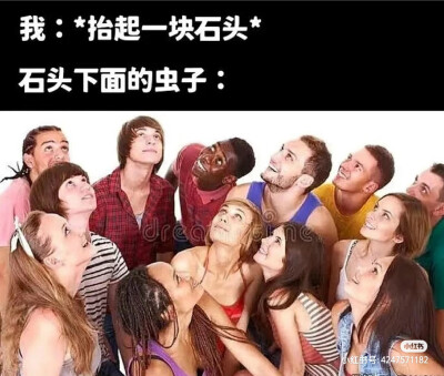 哈哈哈哈哈哈哈