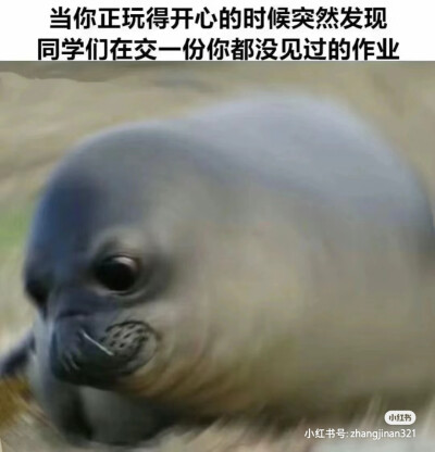 哈哈哈哈哈哈哈哈哈