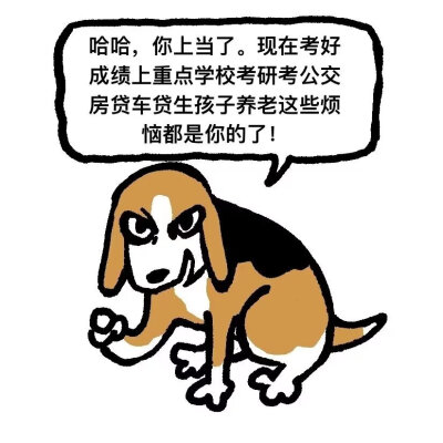 发疯表情包