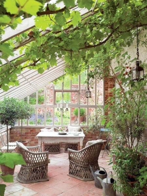 有一个院子，喝茶、写字、画画、晒太阳