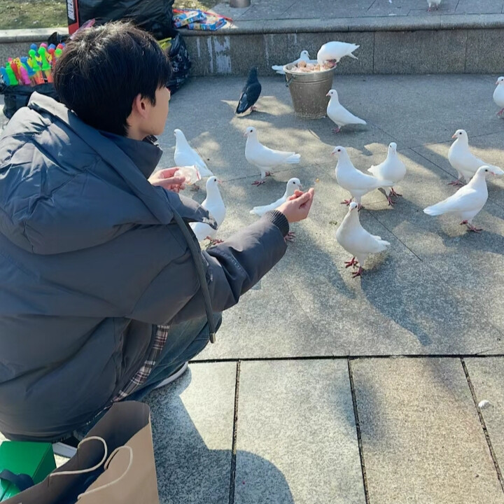 伪装