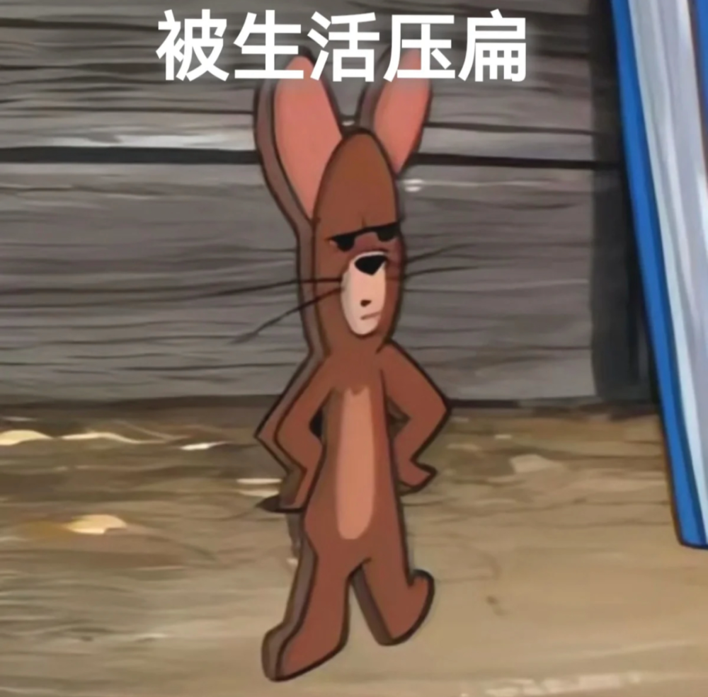 实用表情包