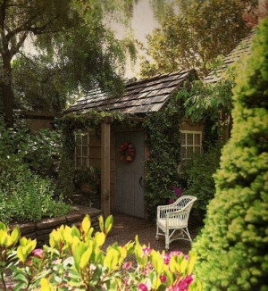 有一个院子，喝茶、写字、画画、晒太阳