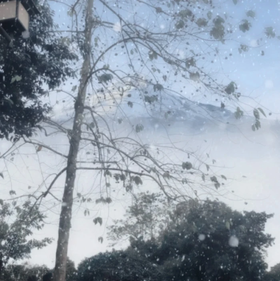 你再不来，我就要下雪了。