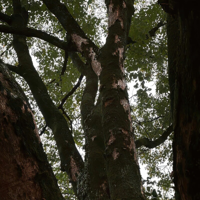 背景
拿图点赞收藏