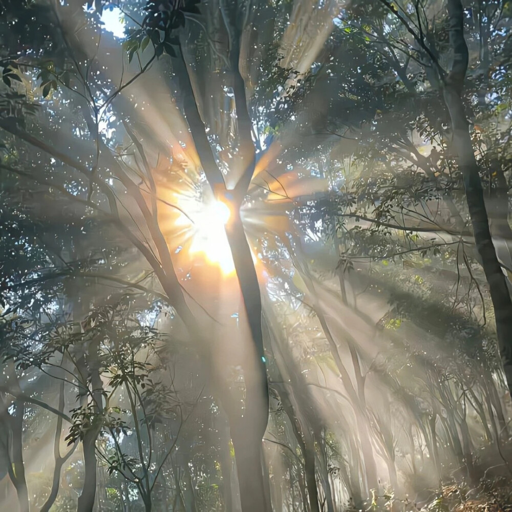 背景图｜光感