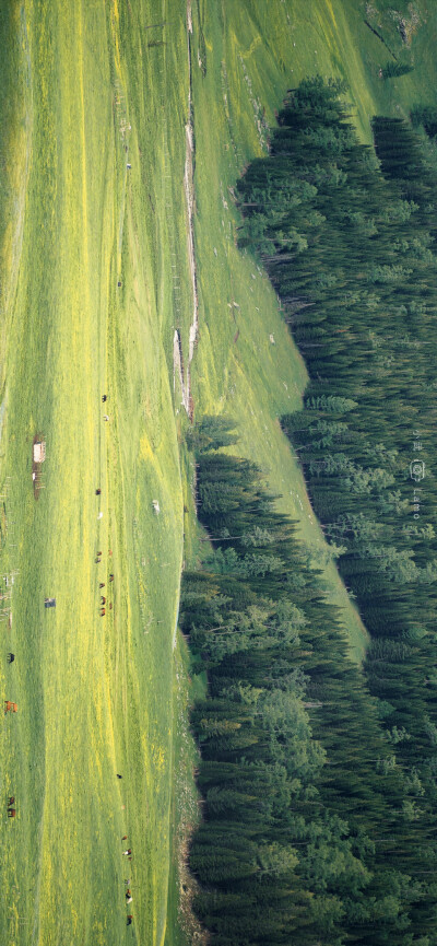 草原横屏