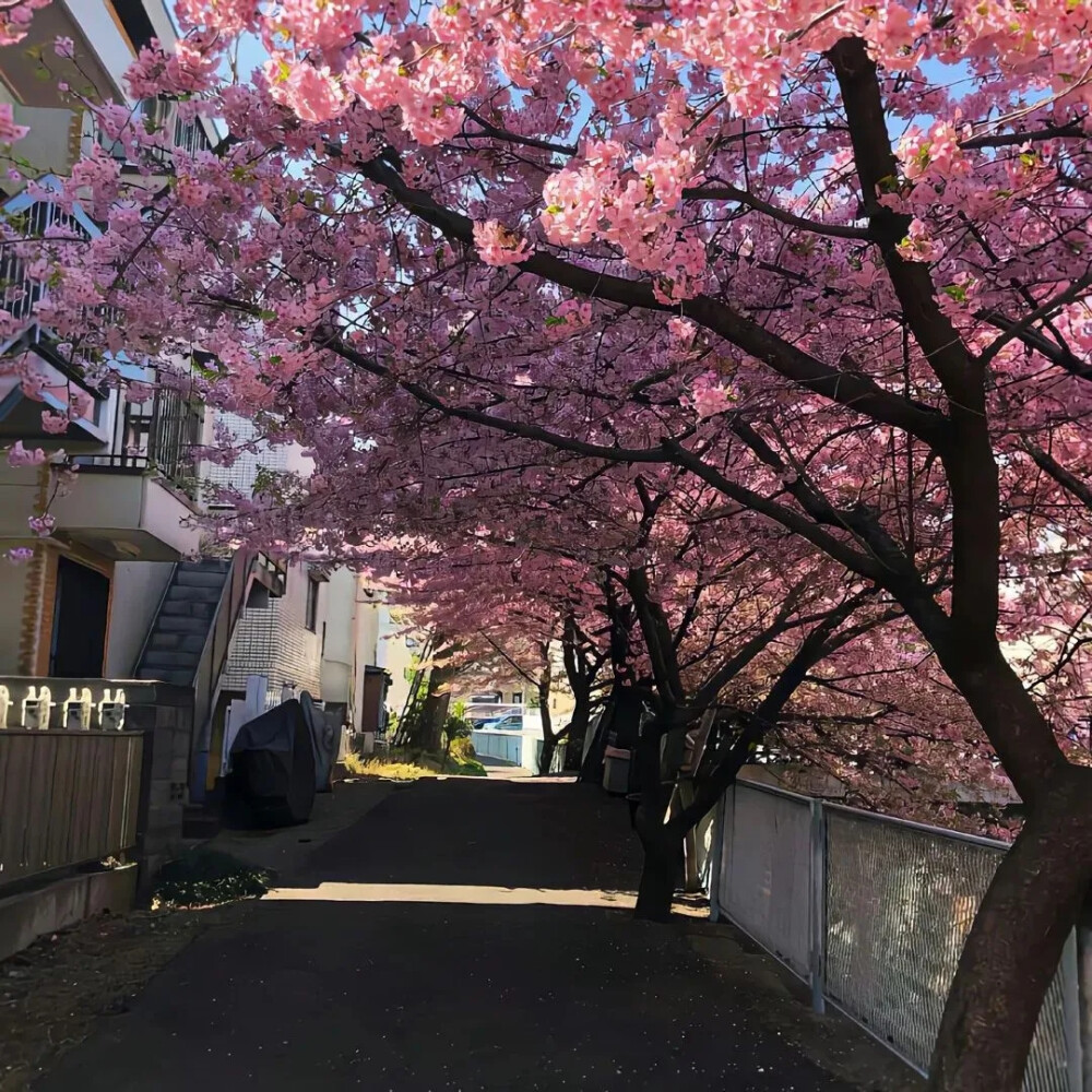 背景图片