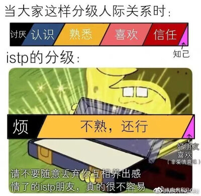 istp我本人：