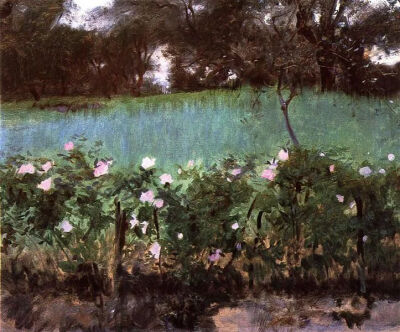 John Singer Sargent，没想到画起花来也别有一番风味。他留下的一些花卉草稿或成品画作，即使在一个世纪后，丰沛的色彩依然可以传达当时的鲜活自然气息。