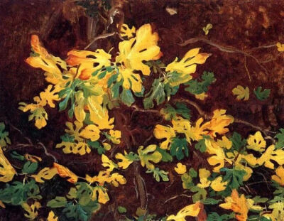 John Singer Sargent，没想到画起花来也别有一番风味。他留下的一些花卉草稿或成品画作，即使在一个世纪后，丰沛的色彩依然可以传达当时的鲜活自然气息。