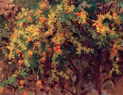 John Singer Sargent，没想到画起花来也别有一番风味。他留下的一些花卉草稿或成品画作，即使在一个世纪后，丰沛的色彩依然可以传达当时的鲜活自然气息。