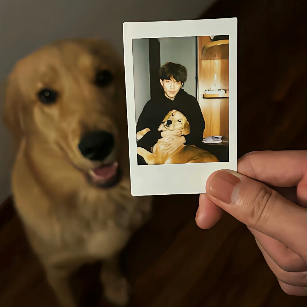 朋友圈背景图（⑅ᐢ..ᐢ⑅）⊹ﾟ
