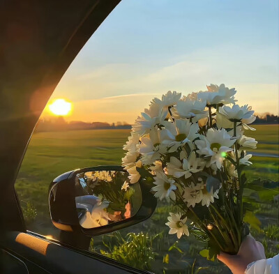 背景·图源微博