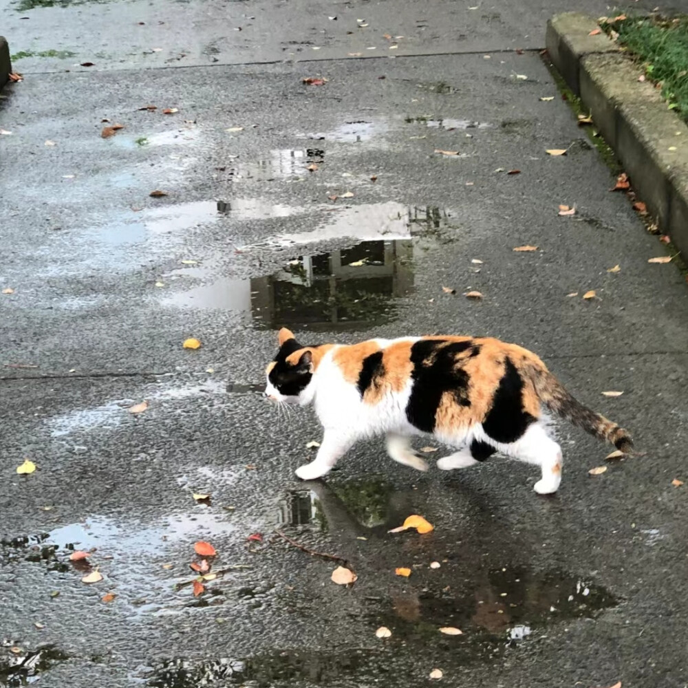 雨天背景图