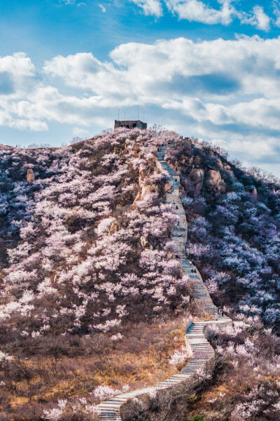 延庆 大庄科长城