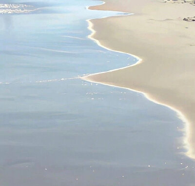 沈杳霭