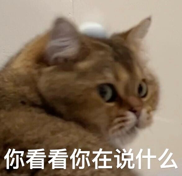 你很胖 才不是毛茸茸