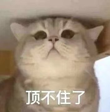 猫咪表情包