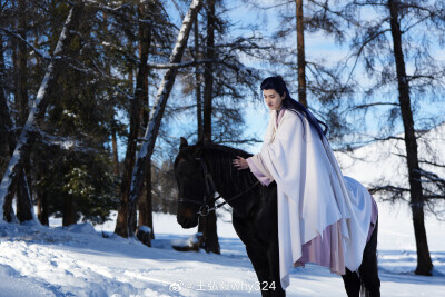 七夜雪，王弘毅，妙风