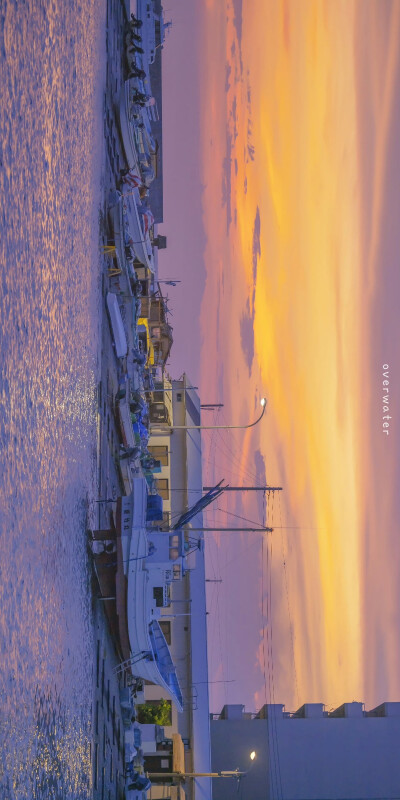海