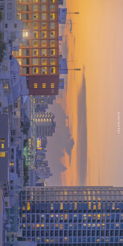 海