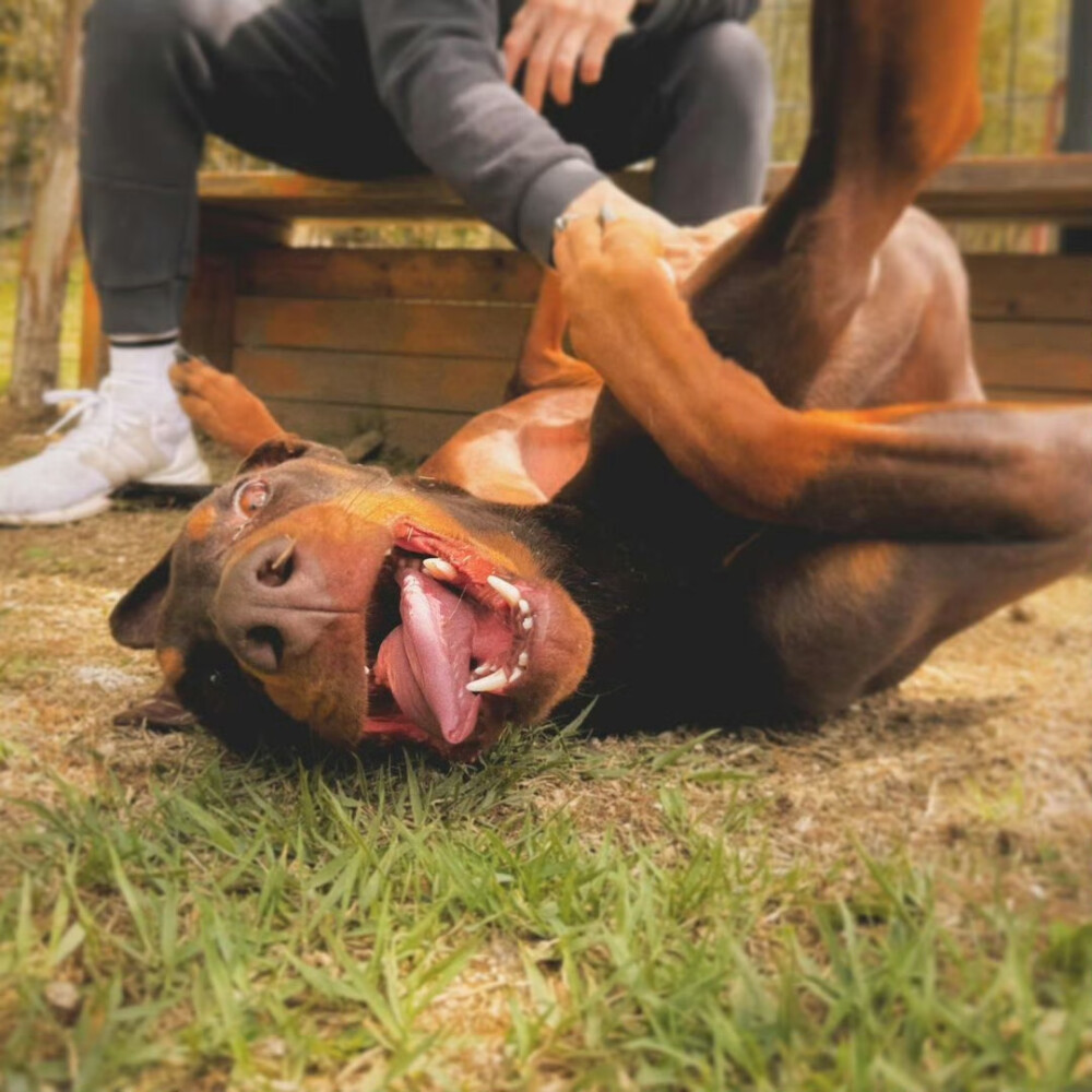 240428
Bam's dad田柾国 ins更新bam相关